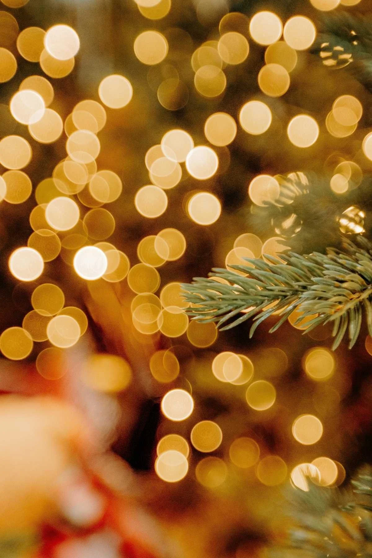 Gifts Of Dairy This Christmas Season