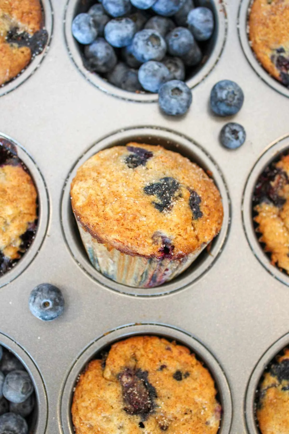 muffin tin with a sideways blueberry muffin and fresh blueberries sprinkles over the muffin tin.