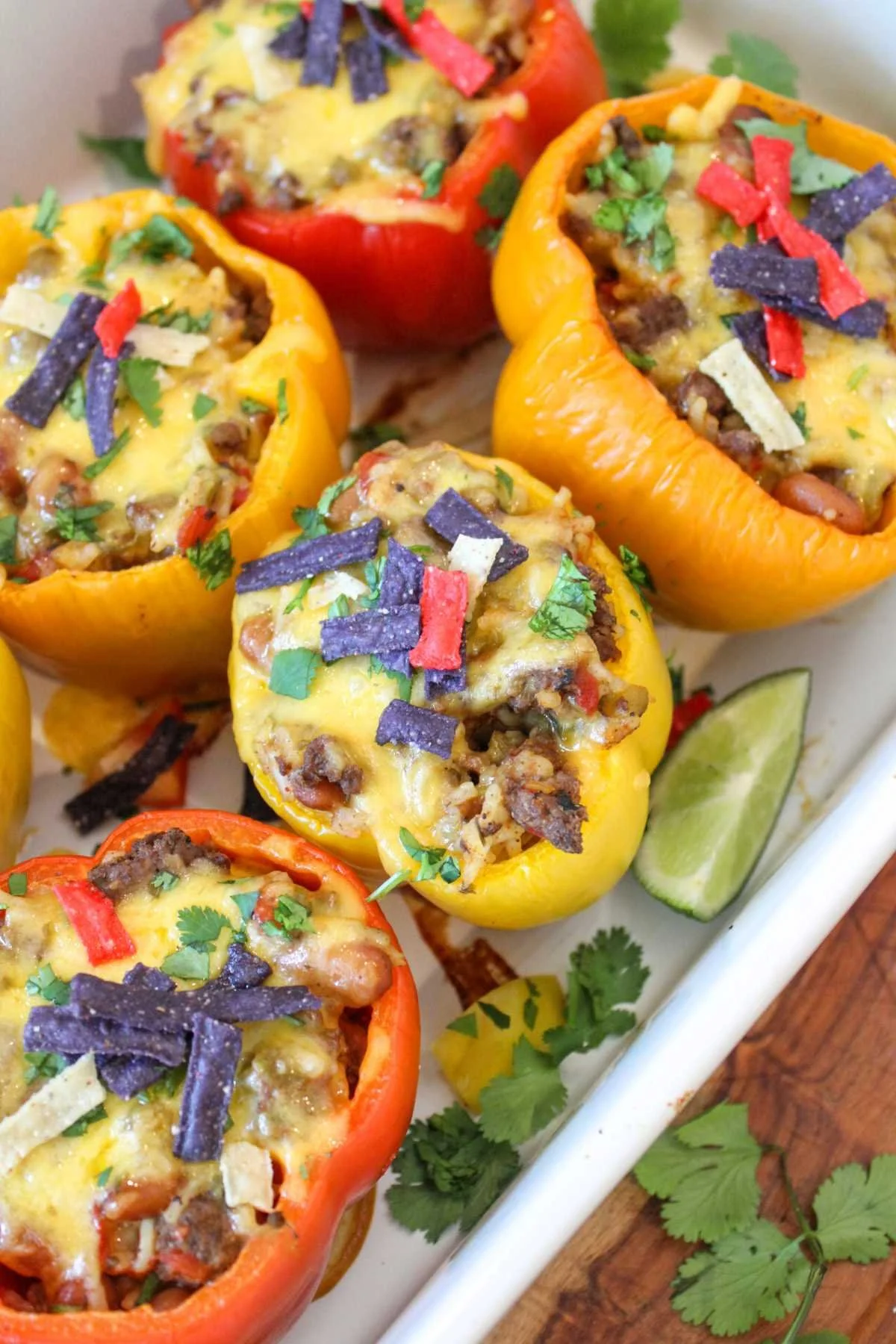 Colorful stuffed bell peppers filled with ground meat, beans, and melted cheese, topped with cilantro and tortilla strips, in a white baking dish.