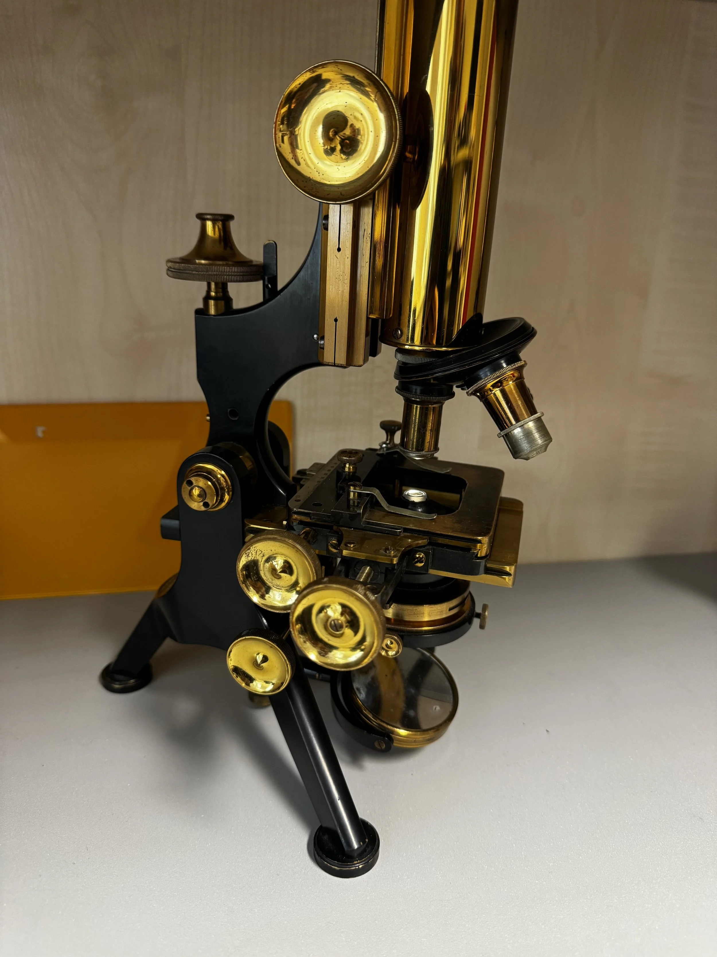 Newest addition to our collection.