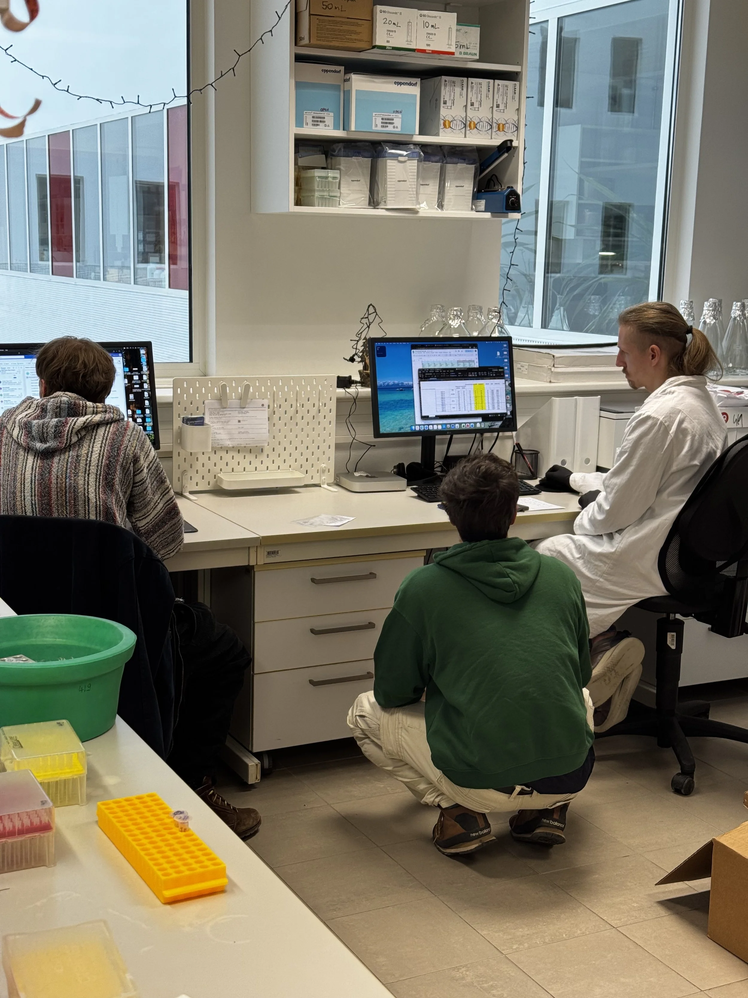 Mentoring again…literally looking up to your peers.