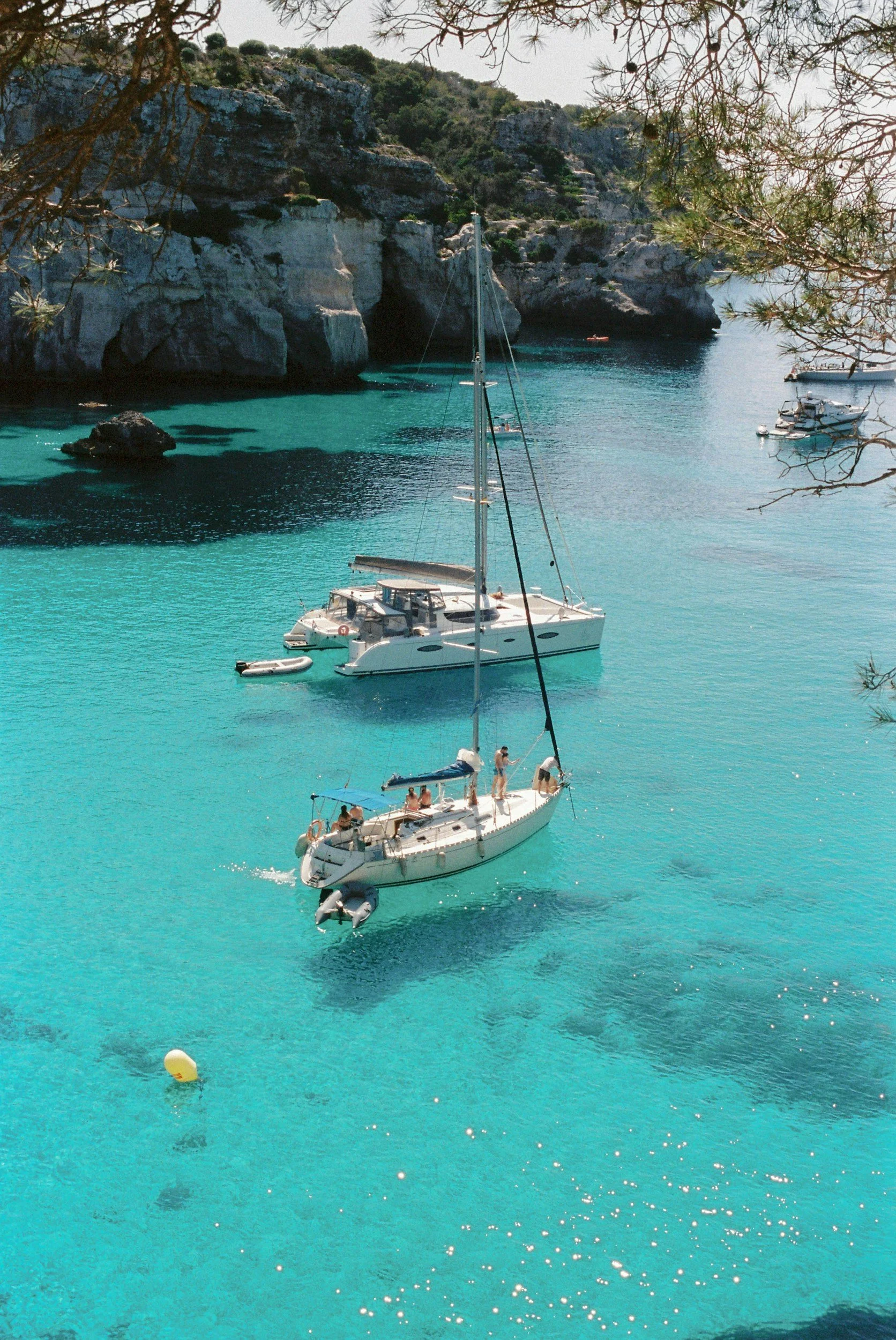 A scenic view of a turquoise bay with sailboats and motorboats, surrounded by rocky cliffs and sparse vegetation, with a tree branch in the foreground.