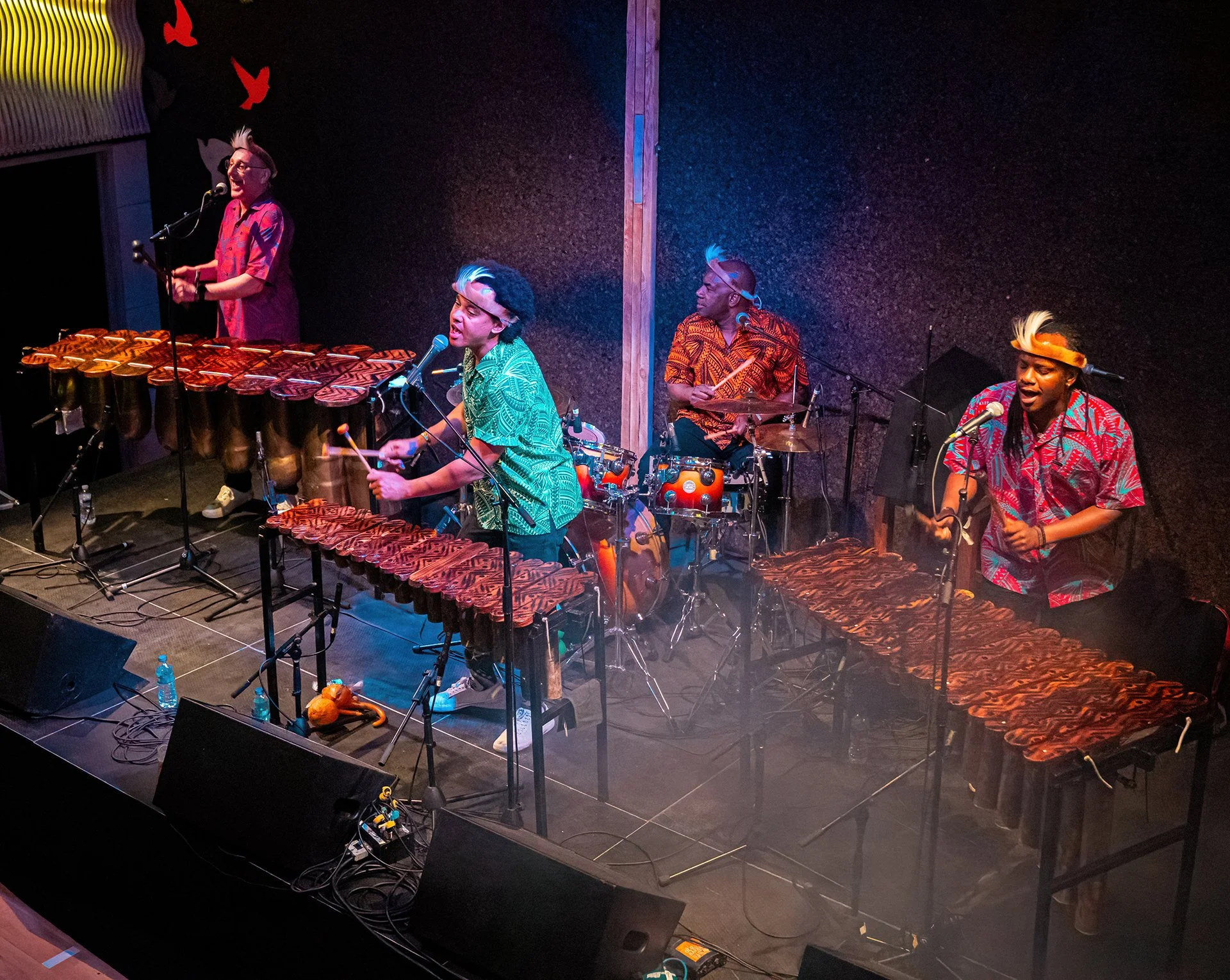 Africa Alive: Folksongs from Southern Africa