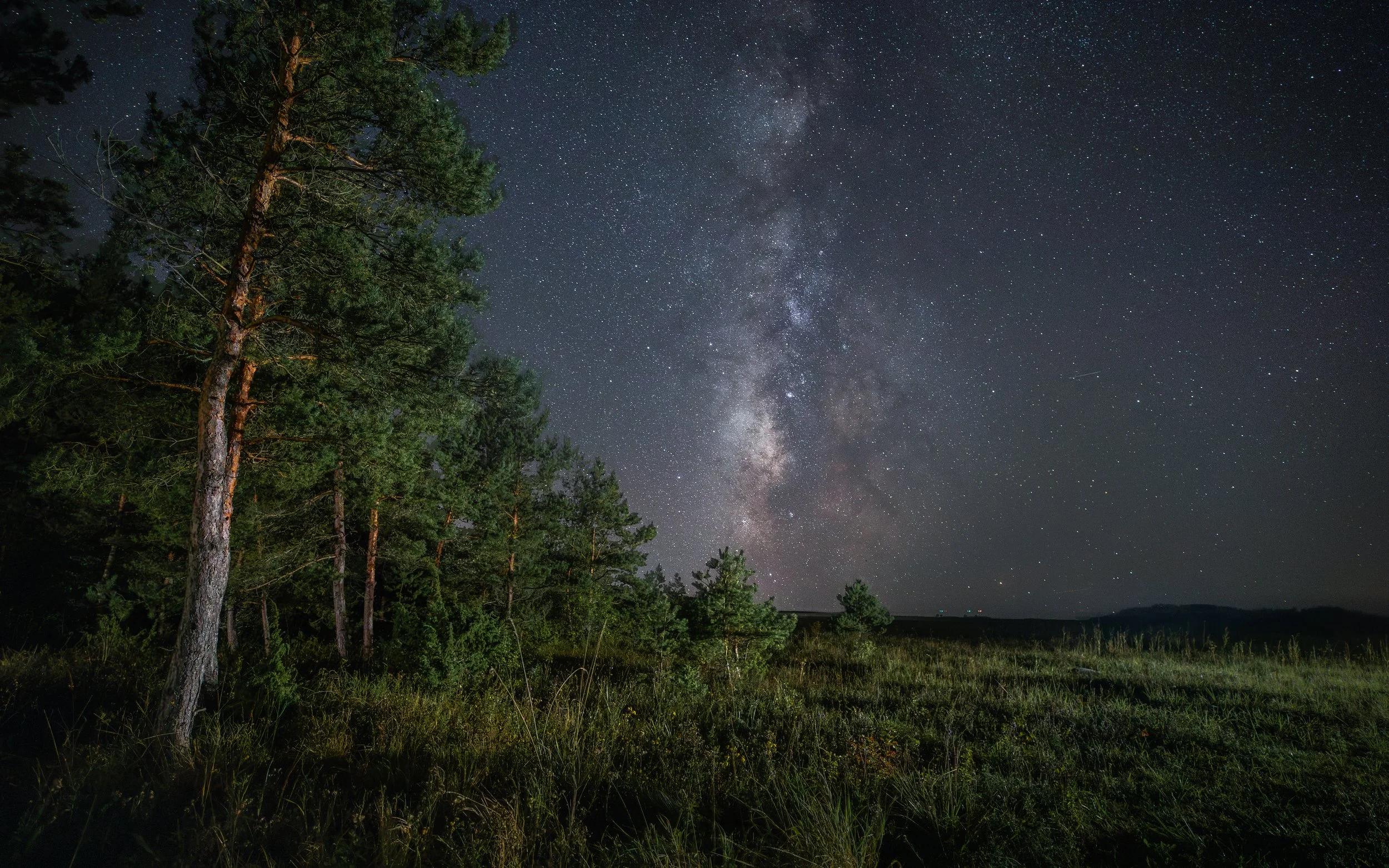 Night sky with the Milky Way galaxy and stars visible above a grassy field and trees.