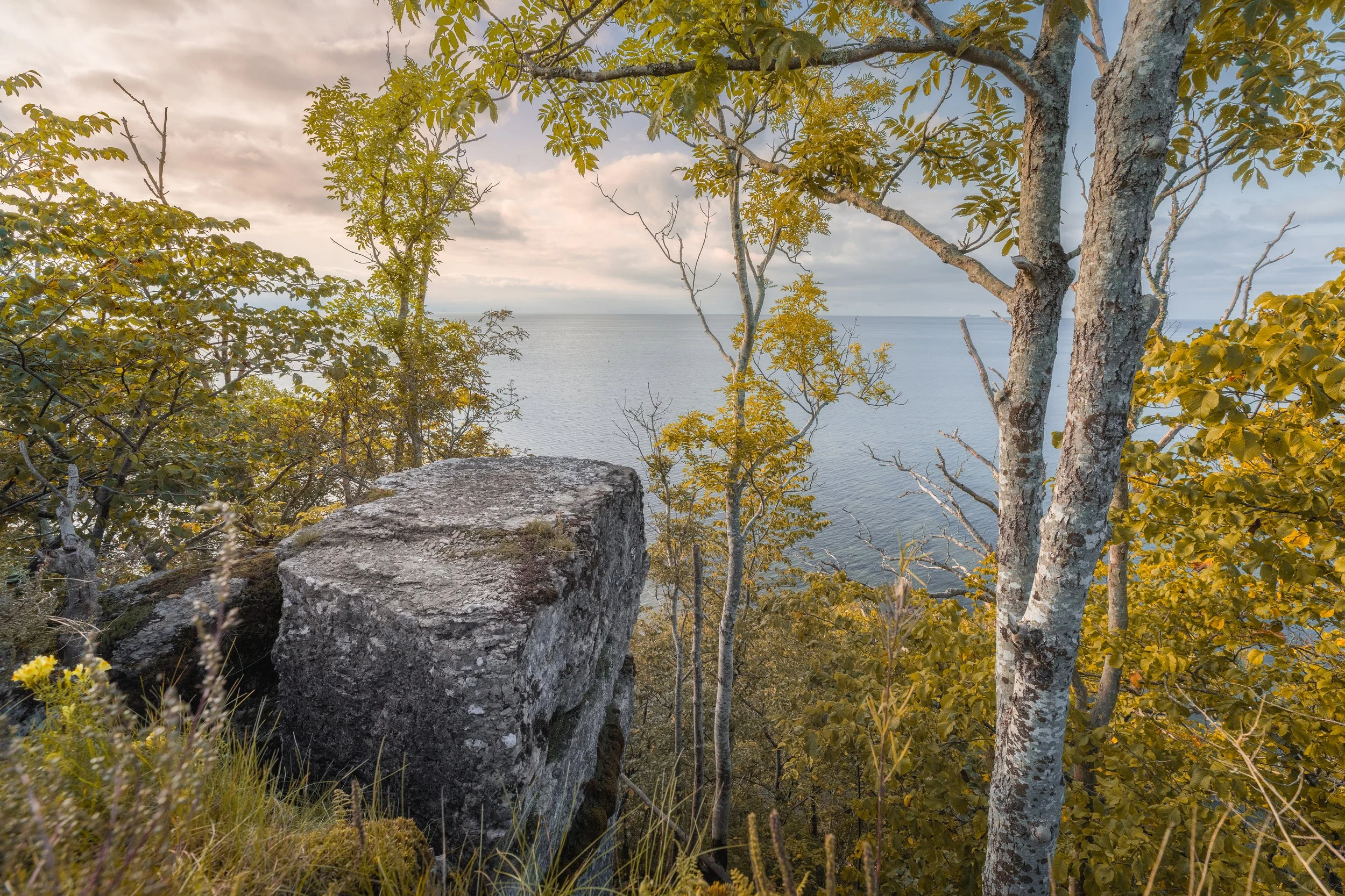 View of a rocky cliff overlooking a body of water, surrounded by trees with green and yellow leaves, under a partly cloudy sky.