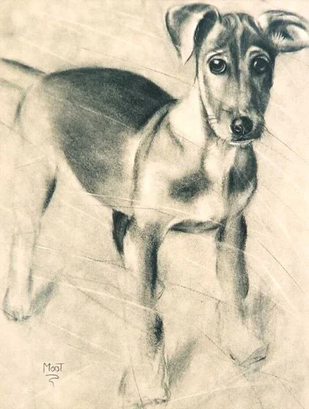 Smudly / Charcoal on Paper, 18"x24"