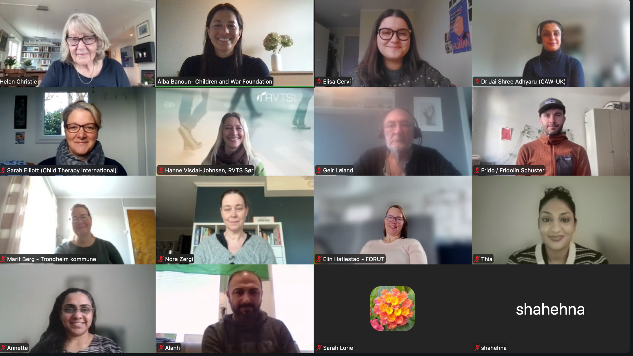 Teaching Recovery Techniques (TRT) Online Training - March 2026