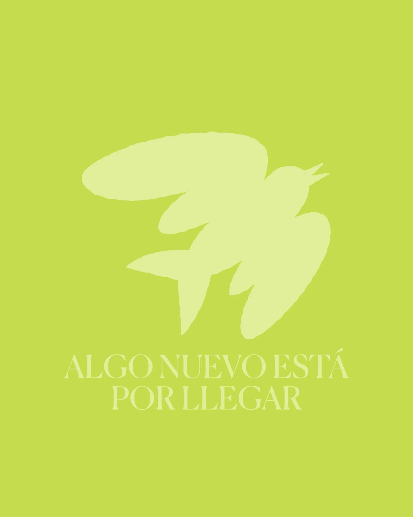 El viaje de @alura_pa ✨
La musa de T&aacute;ntalo.
La diosa del Casco Antiguo. ⚜️

Alura cruz&oacute; mares y cielos hasta llegar al lugar donde pertenece.✨🪞

Un espacio donde recibe a sus invitados para vivir una experiencia gastron&oacute;mica, de