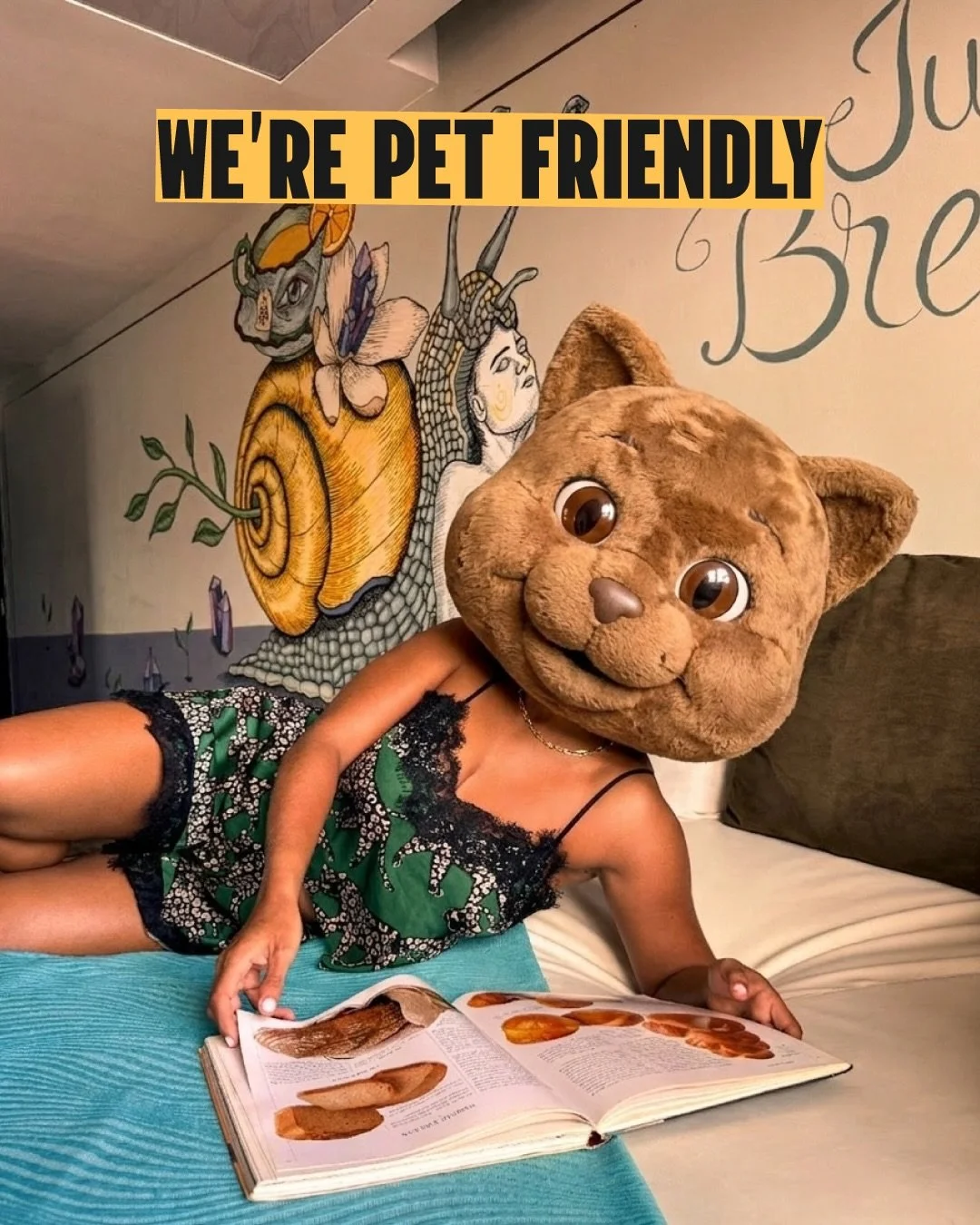 Everyone is welcome&hellip; 👀 

T&aacute;ntalo Hotel.