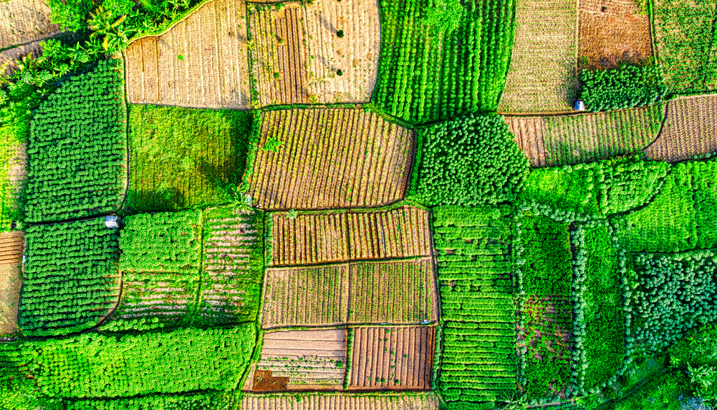 America’s farmland is changing hands. What does that mean for the country’s food future?