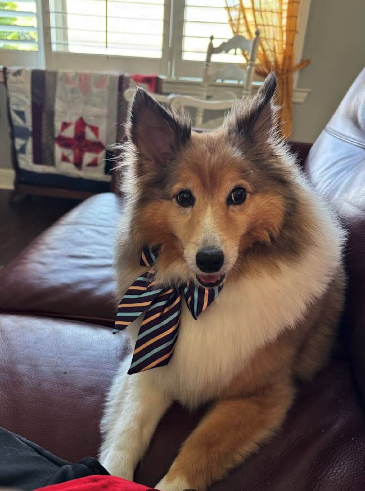 Screenshot 2026-03-10 at 8.58.17 AM.png