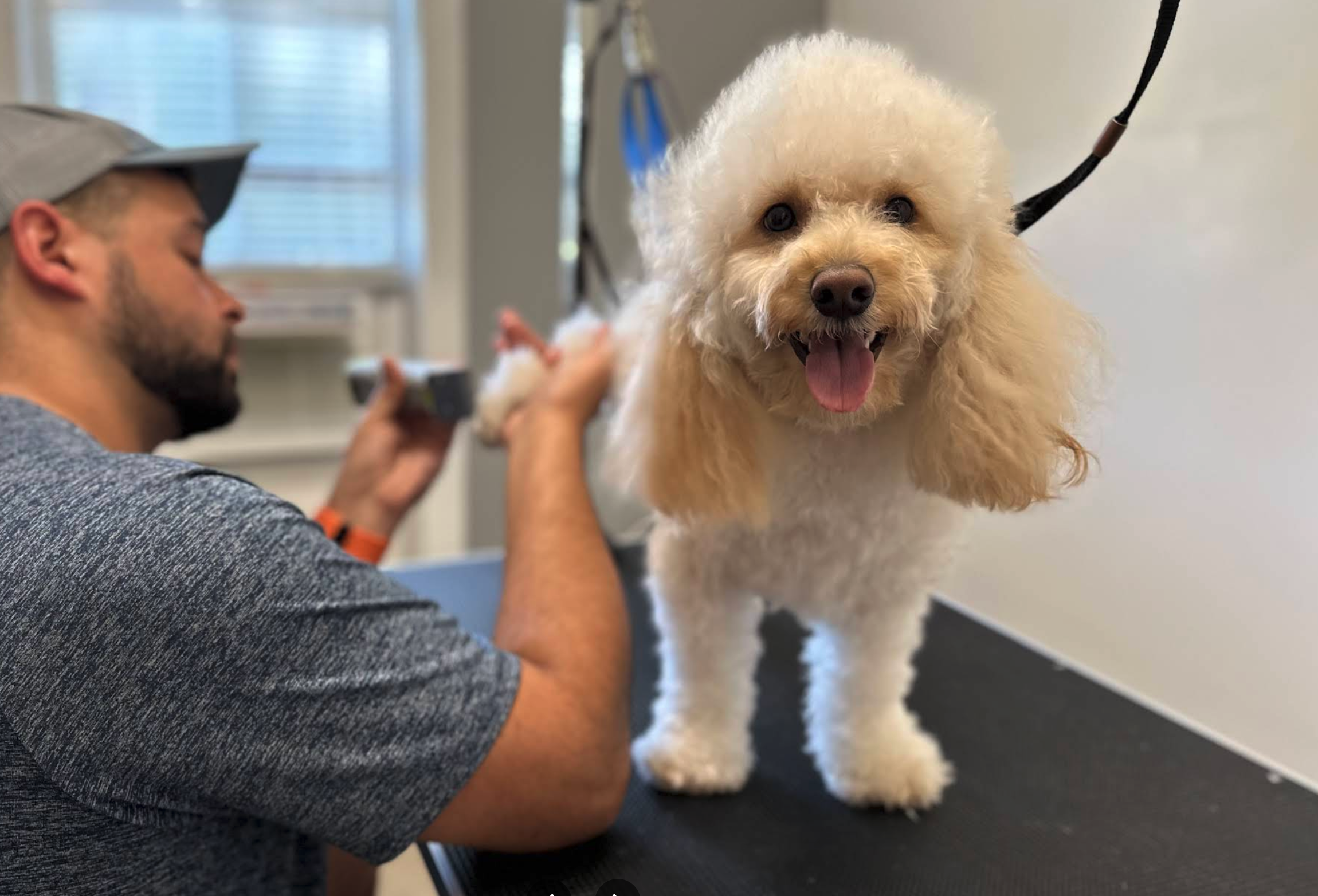 Screenshot 2026-03-10 at 8.58.29 AM.png