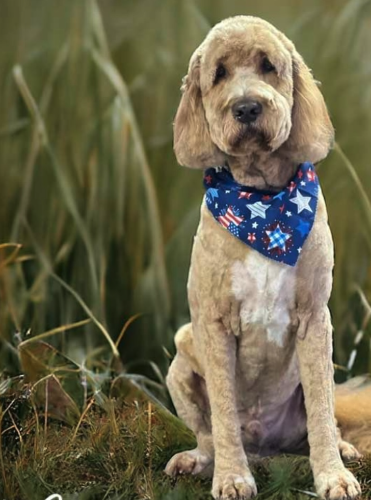 Screenshot 2026-03-10 at 8.58.06 AM.png