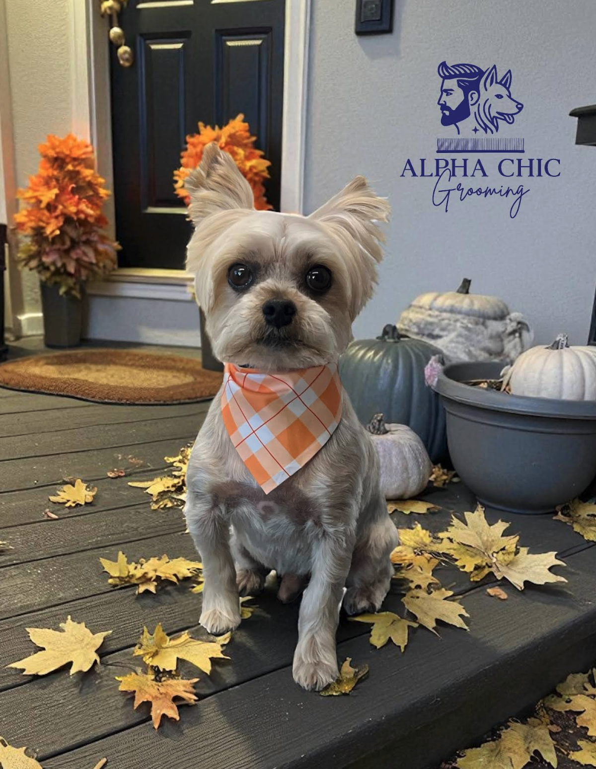 Screenshot 2026-03-10 at 8.58.10 AM.png