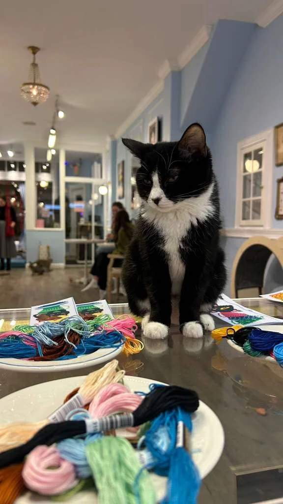 Embroidery with cats 