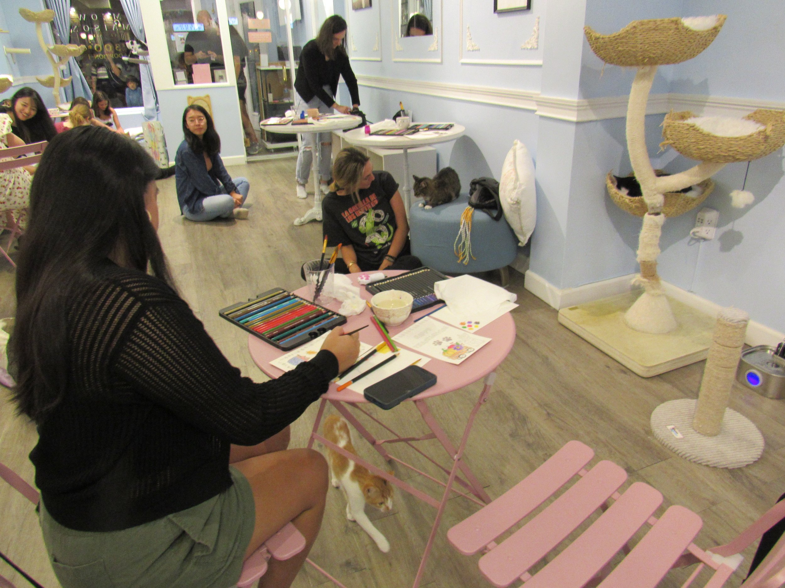 watercolor with cats 