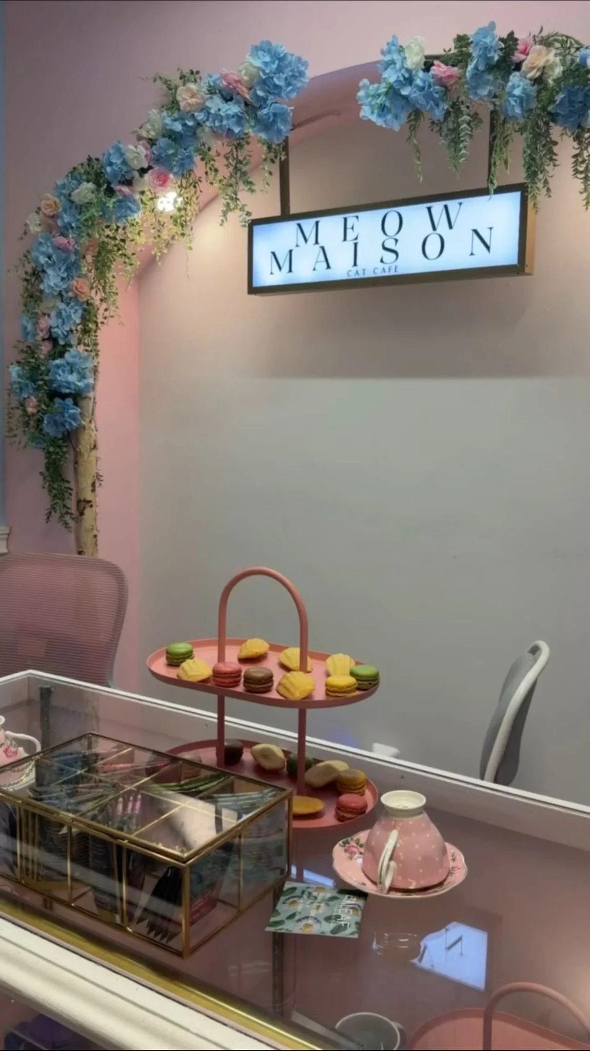 The Purr-fect Tea Party 