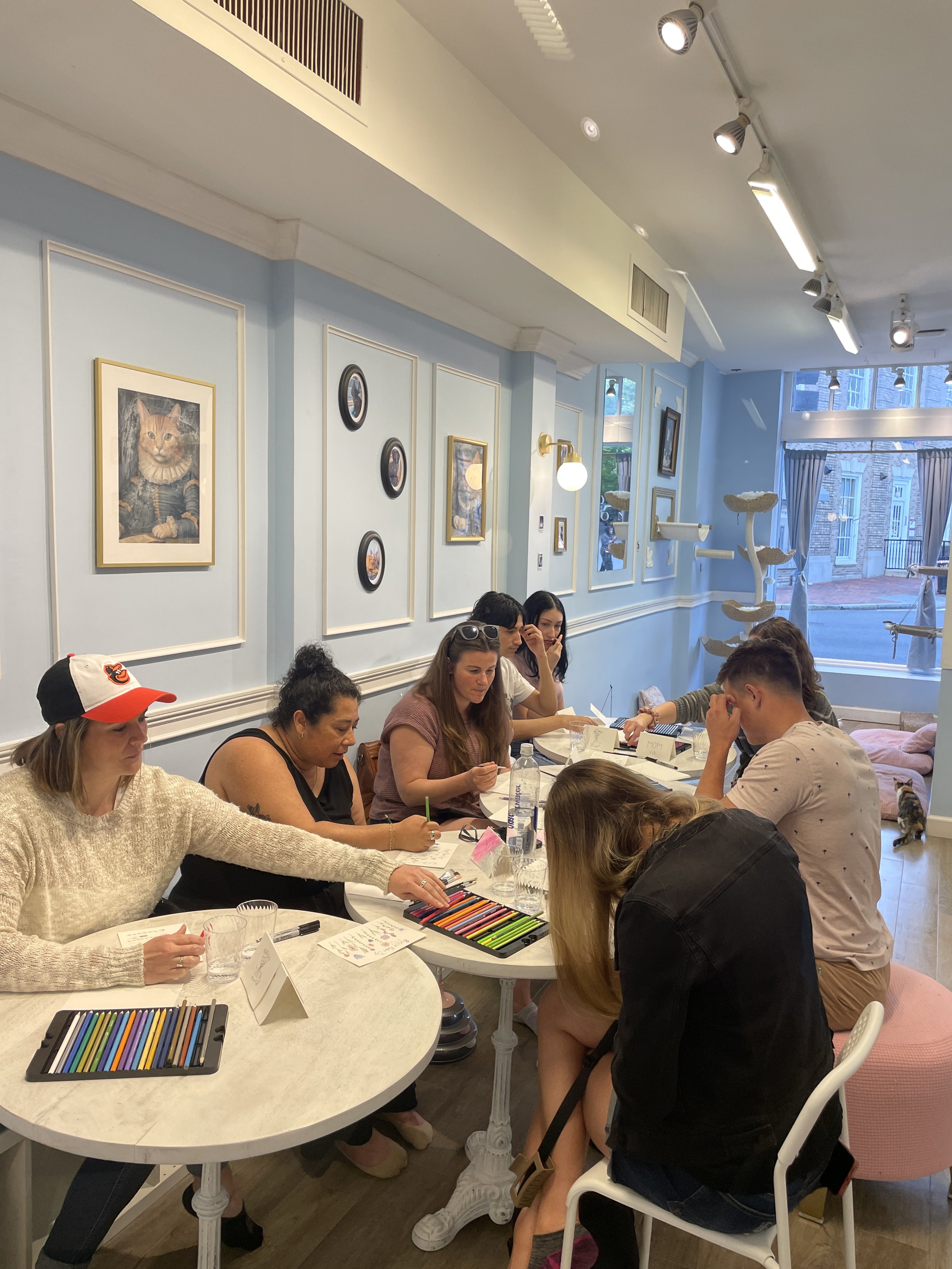 Paint & Purrs:  Watercolor with cats