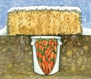 An image of a barrel type root cellar  with carrots and hay bale on top