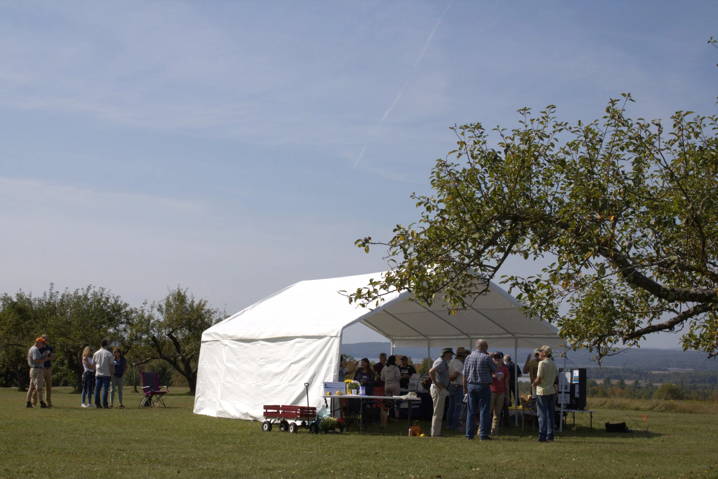 Join Us for the 2026 Wild Blueberry Resilience Summit!