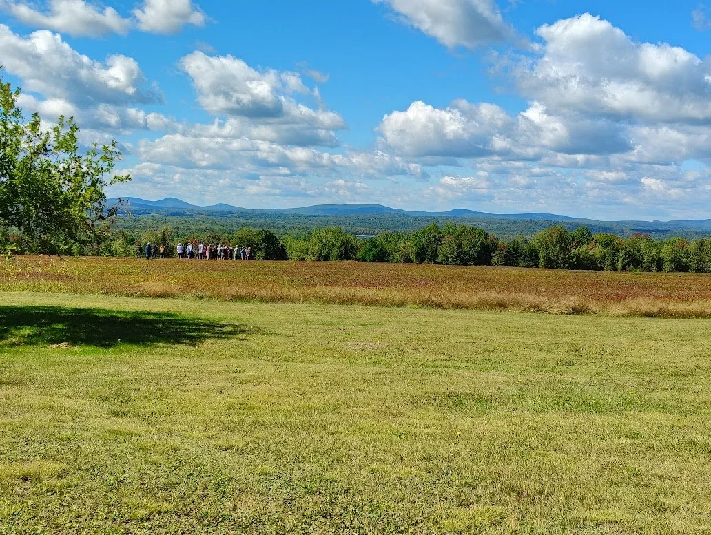 Wild Blueberries at a Crossroads: How Maine Growers Are Reimagining the Future of an Iconic Crop