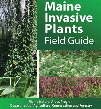 Maine Invasive Plants - Field Guide