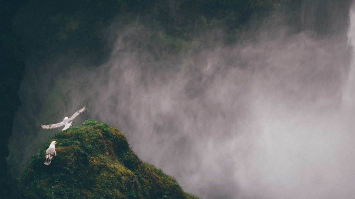 Elul Day 3 - ג באלול