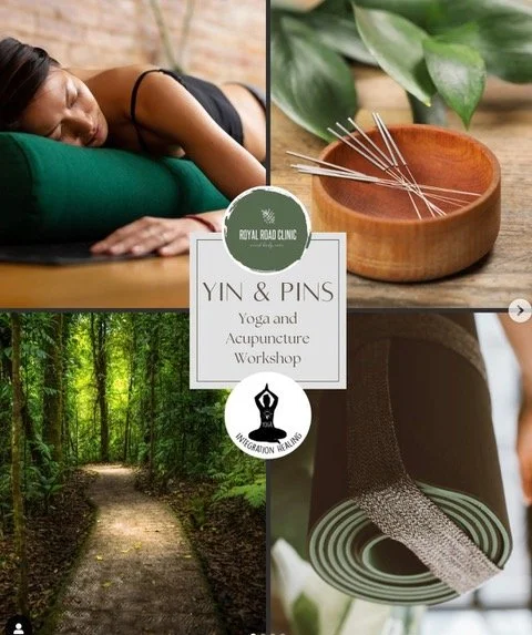 Yin + Pins
