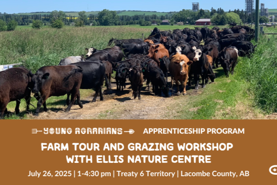 Farm Tour and Grazing Workshop with Ellis Nature Centre