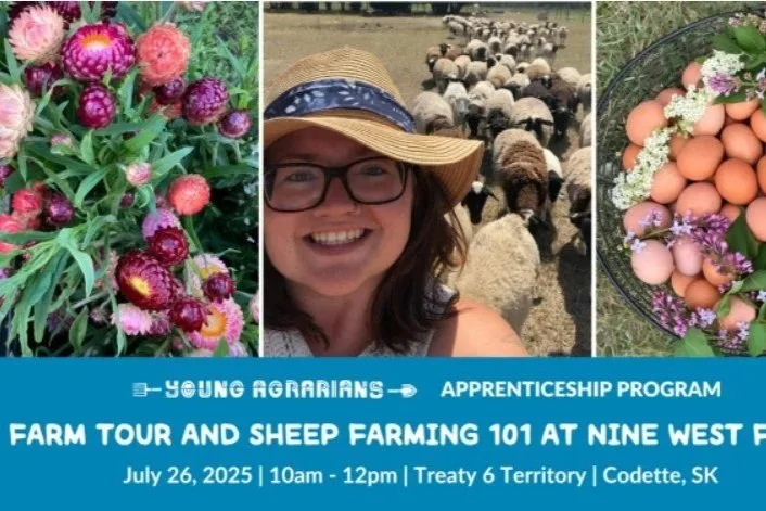 Farm Tour and Sheep Farming 101 at Nine West Farms