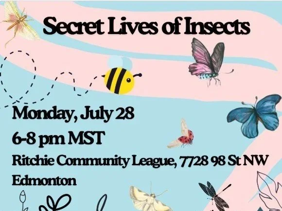 Secret Lives of Insects