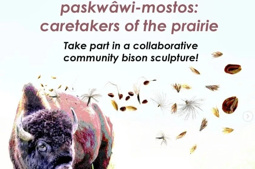 paskwâwi-mostos: caretakers of the prairies