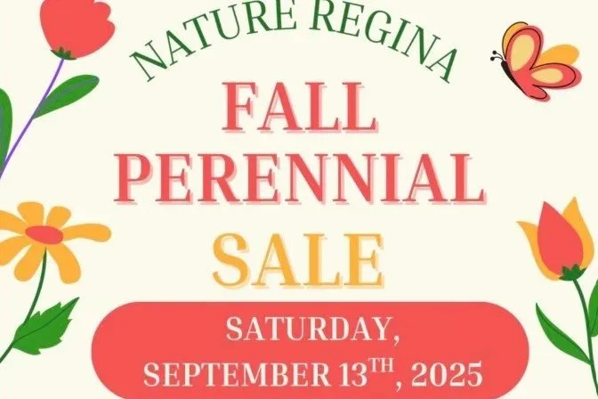 Nature Regina Fall Perennial Sale