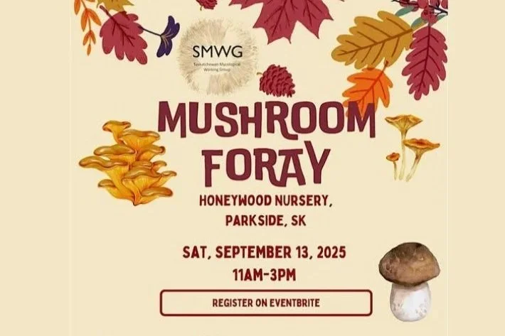 Wild Mushroom Foray