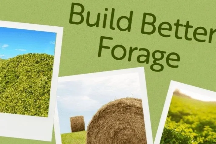 Grow Better Forage