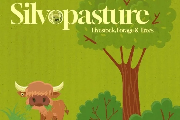 Fighting Drought: Silvopasture Solutions