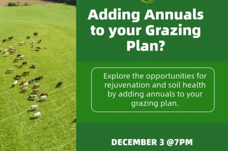 Adding Annuals to your Grazing Plan