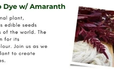 CHEP's Garden Club - Learn to Dye w/ Amaranth