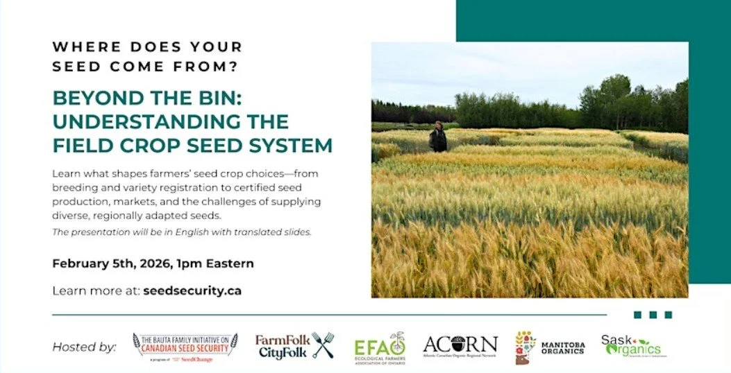 Beyond the Bin: Understanding the Field Crop Seed System