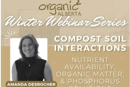 Compost Soil Interactions: Nutrient Availability, Organic Matter, and Phosphorus Solutions