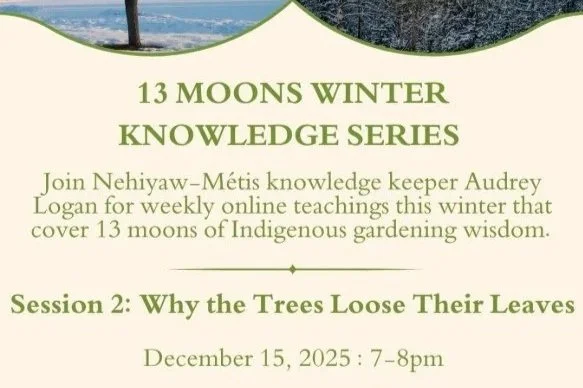 13 Moons Winter Knowledge Series - Why Trees Lose Their Leaves