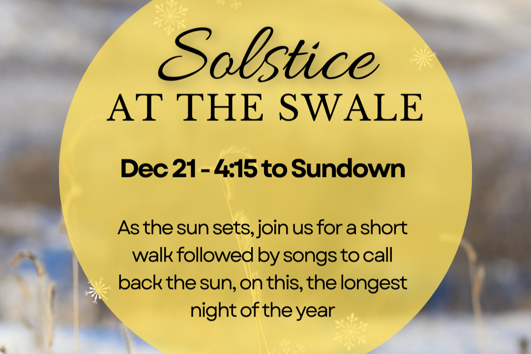 Winter Solstice at the Northeast Swale