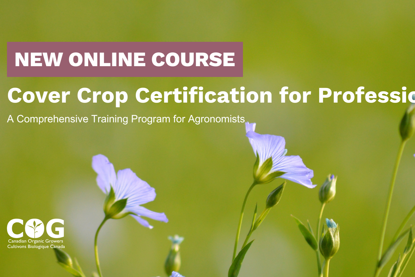 Cover Crop Certification for Professional