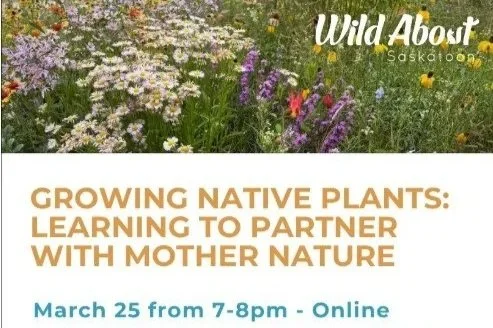 Growing Native Plants: Learning to Partner with Mother Nature