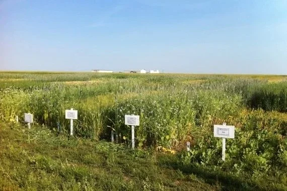 AAFC Budget Cuts Put Sustainable Agriculture Research at Risk