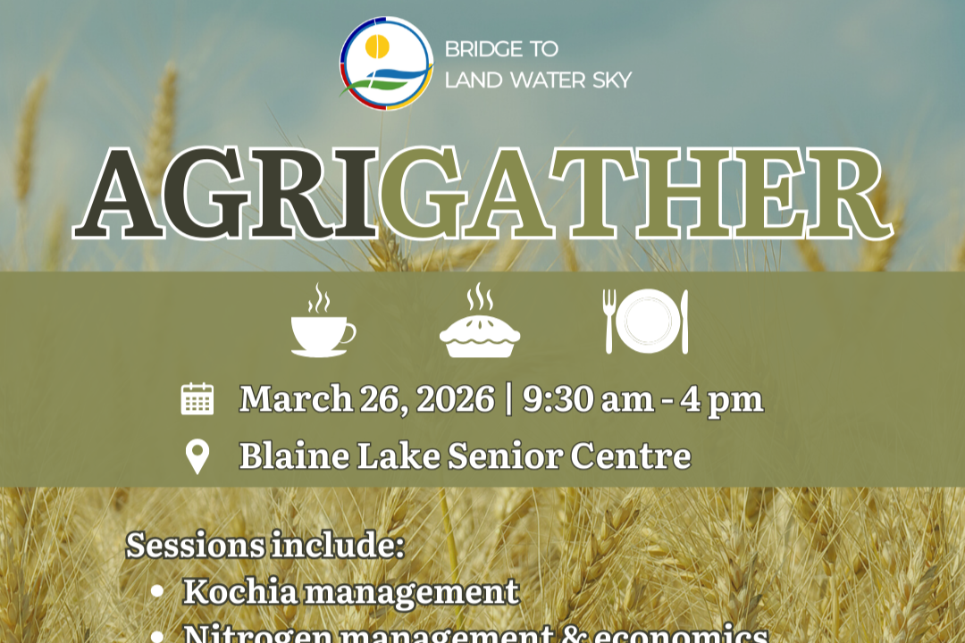 Bridge To Land Water Sky - AgriGather