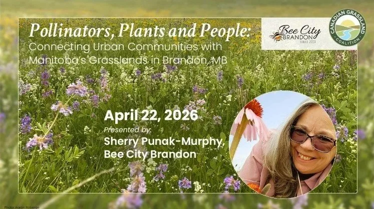 Pollinators, Plants &amp; People:Connecting Urban Communities With Manitoba’s Grasslands in Brandon, MB