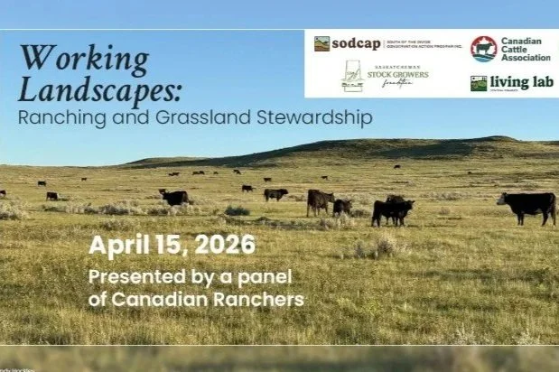 Working Landscapes: Ranching and Grassland Stewardship