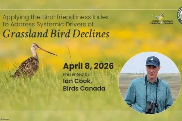 Applying the Bird‑friendliness Index to Address Systemic Drivers of Grassland Bird Declines