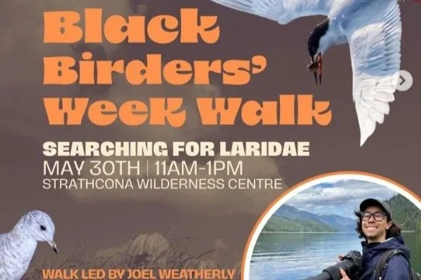 Black Birders Week Walk 
